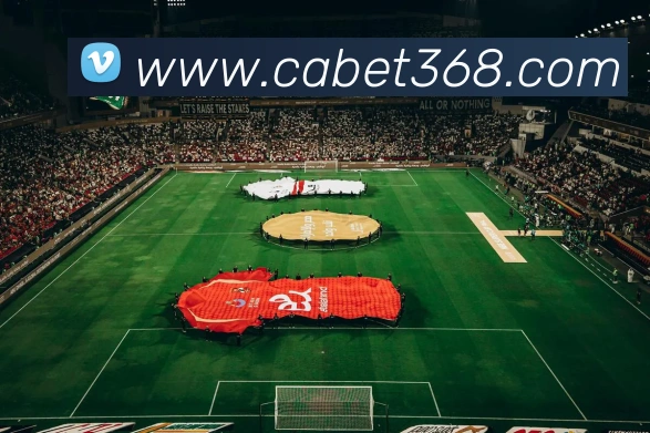 ca亚洲城APP 封面图